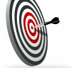 Organizational perfection is about the target.